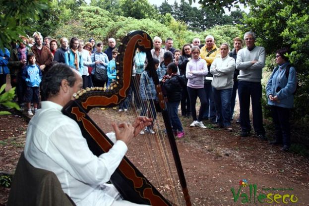 Valleseco ofrece un espectáculo único en la Isla