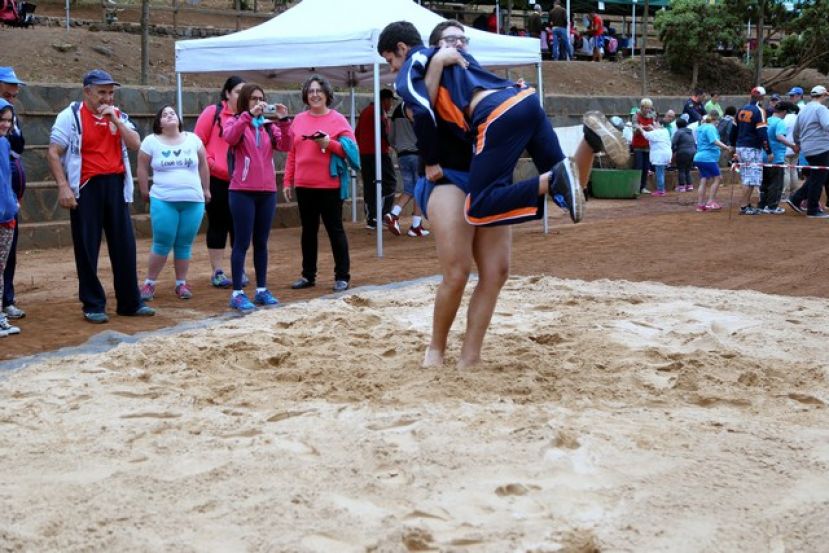 Valleseco vivi&oacute; la fiesta de la integraci&oacute;n de los Centros Ocupacionales de la isla