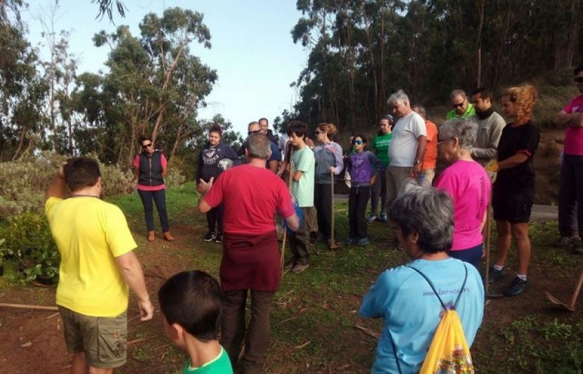 El s&aacute;bado se llevar&aacute; a cabo una Plantaci&oacute;n de Laurisilva en la Monta&ntilde;a de Firgas