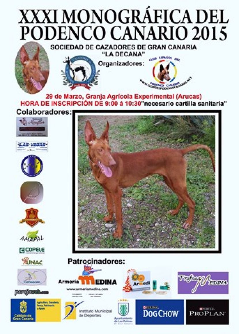 Caza: Exposición de perros podencos y de muestra