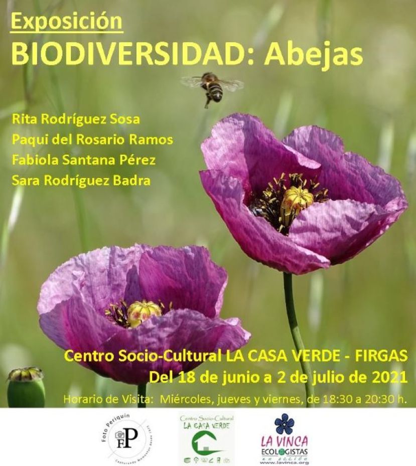 El viernes 18 se abre en LA CASA VERDE de Firgas la Exposición “Biodiversidad: ABEJAS”