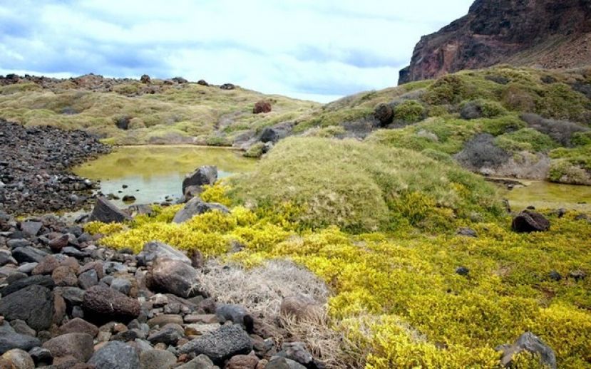 La Gomera: Actuaciones en varios espacios protegidos de Valle Gran Rey