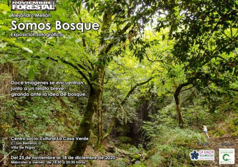 Firgas: Exposici&oacute;n Fotogr&aacute;fica en La Casa Verde &ldquo;SOMOS BOSQUE&rdquo;