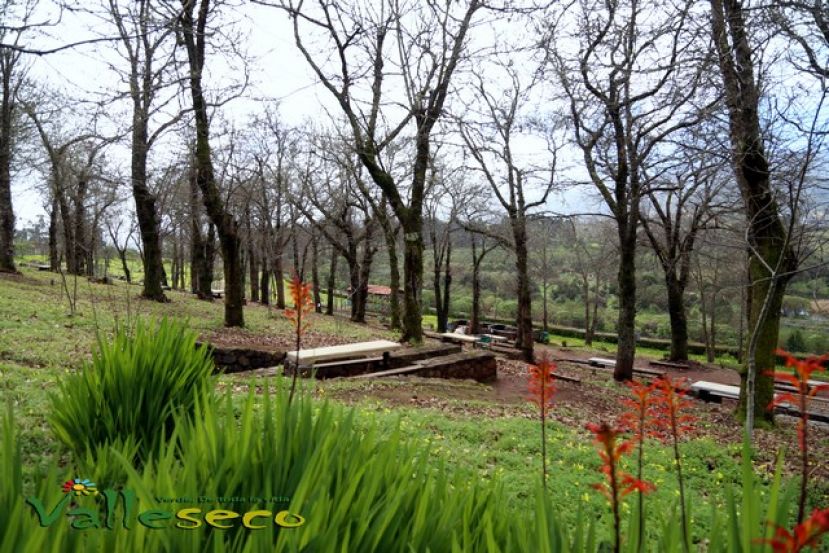 Valleseco invertir&aacute; en obras m&aacute;s de 600.000 euros