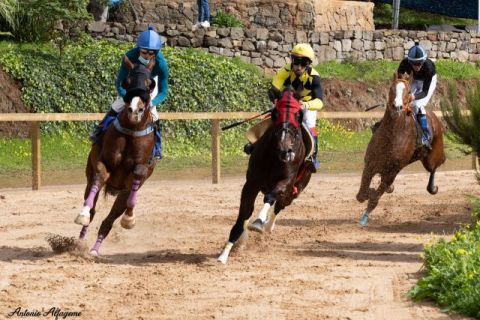Valleseco: Cerrada al p&uacute;blico La Laguna en horarios de entrenamientos de caballos