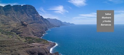 8 establecimientos han participado en la gu&iacute;a gastron&oacute;mica La Ruta del Enyesque