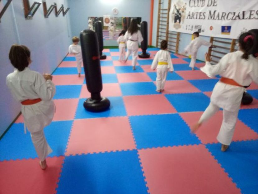 Valleseco: El contacto y la potencia vuelven al Shorinji Kempo con sacos de aire