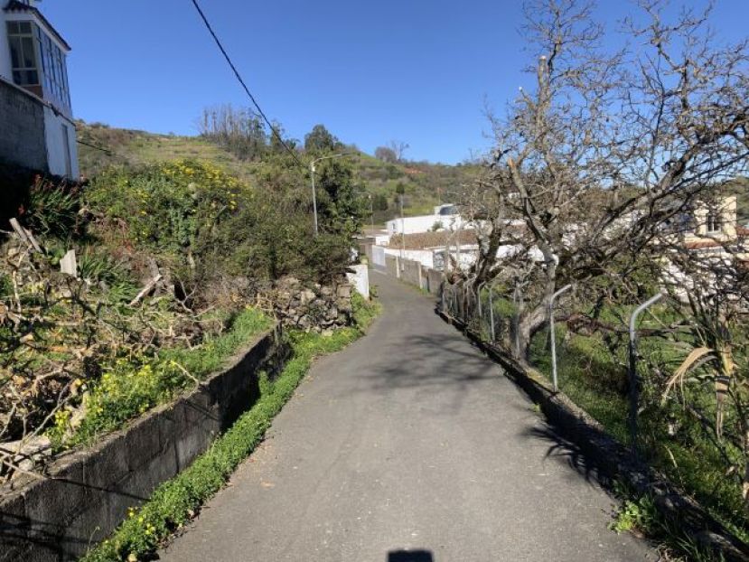 Valleseco acomete labores de poda en las vías del municipio