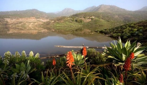 Valleseco organiza la primera ruta del a&ntilde;o por la zona de Pilancones
