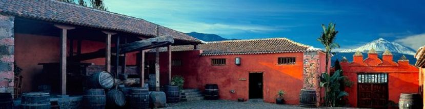 El IV Foro Internacional de Enogastroturismo llega en octubre a la Casa del Vino de Tenerife