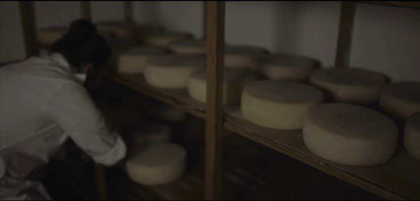 V&iacute;deo Gu&iacute;a muestra sus atractivos tur&iacute;sticos: Queso de Flor