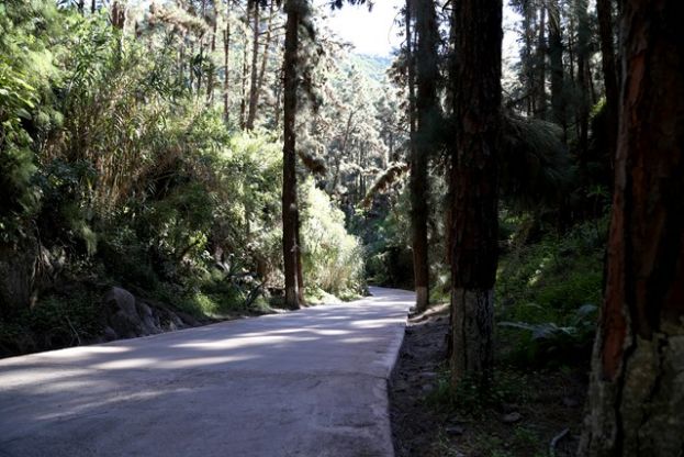 Valleseco pide la finalizaci&oacute;n de las obras en el tramo del Barranco de la Virgen
