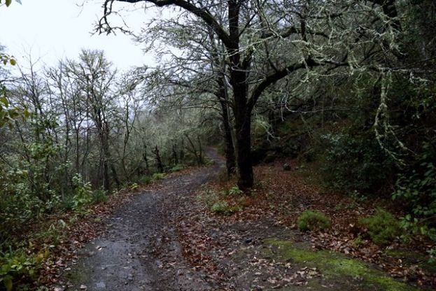 Valleseco: Ven a conocer la zona volcánica
