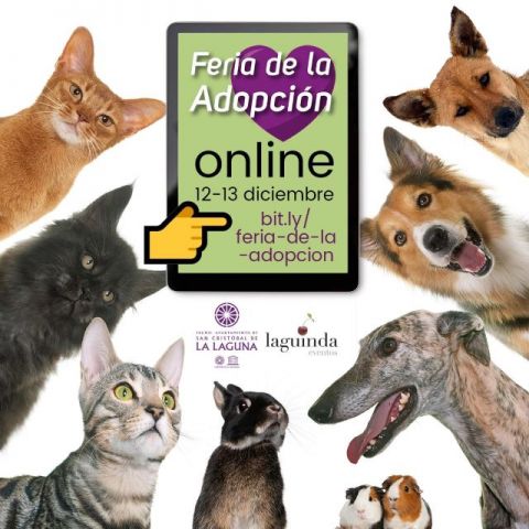 La Laguna: La Feria de la Adopción animal será en diciembre y cien por cien “virtual”