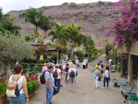 Gu&iacute;a: El Centro de Mayores mantiene su programa de talleres y excursiones