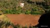 El Cabildo aprueba las normas para recibir propuestas para comprar terrenos r&uacute;sticos para su Bolsa de Fincas para reforestar Gran Canaria