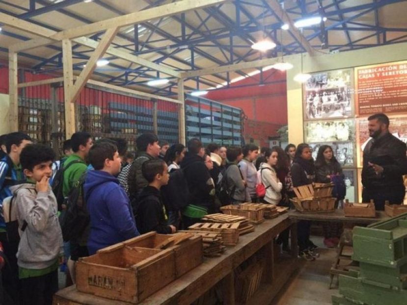 Plazo de inscripción para la visita guiada prevista al Museo de la Zafra