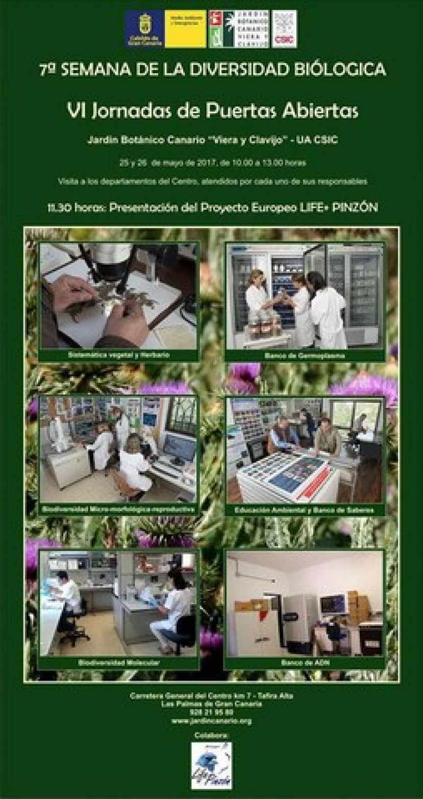 7ª edición de la semana de la Diversidad Biológica en el Jardín Canario
