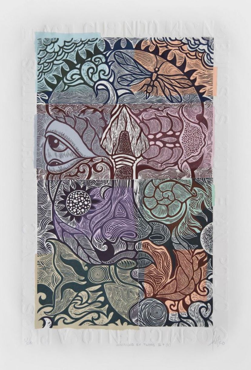 SE INAUGURA EN VALLESECO LA MUESTRA DE LEIKO, &lsquo;HOM&Iacute;NIDOS EXTINTOS&rsquo;