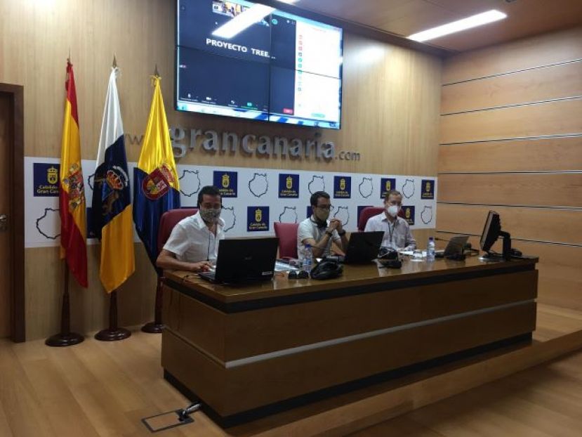Reforestación de la laurisilva con 75 hectáreas más en 4 años