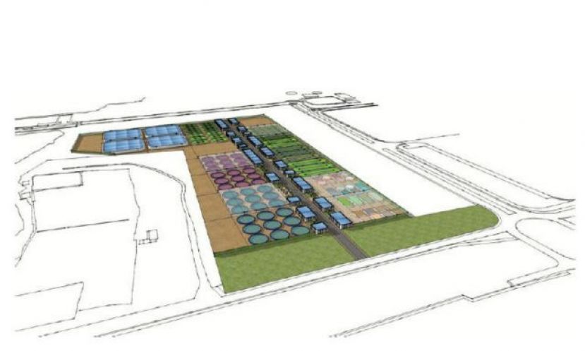 Gran Canaria obtiene 1,3 millones de la Fundaci&oacute;n Incyde para crear una Incubadora de Alta Tecnolog&iacute;a en Arinaga