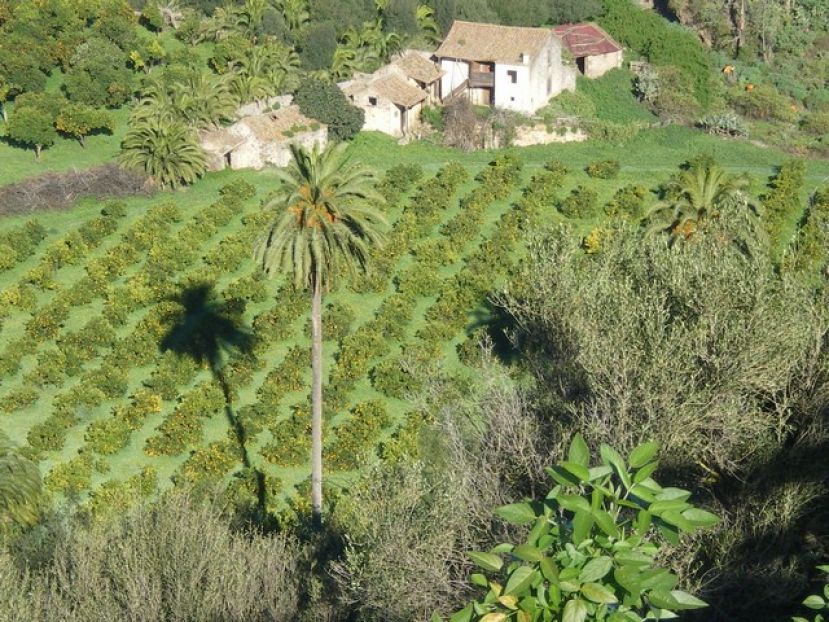 El plan especial para el sector agropecuario de GC obtiene la aprobaci&oacute;n de la Cotmac