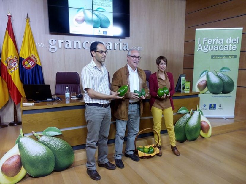 Mog&aacute;n celebra su I Feria del Aguacate