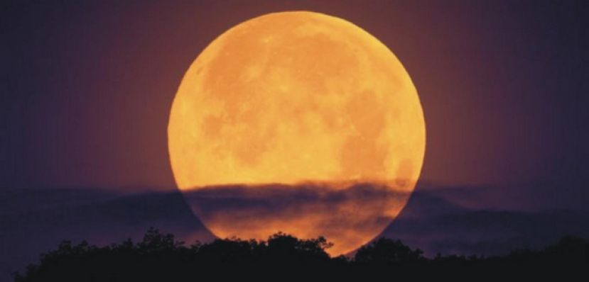 14 de noviembre, llega la Superluna, la más brillante de los últimos 70 años