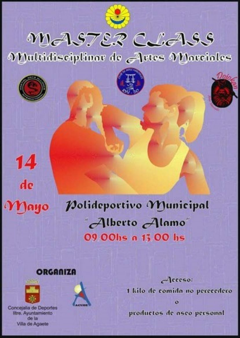 Master class de artes marciales en Agaete