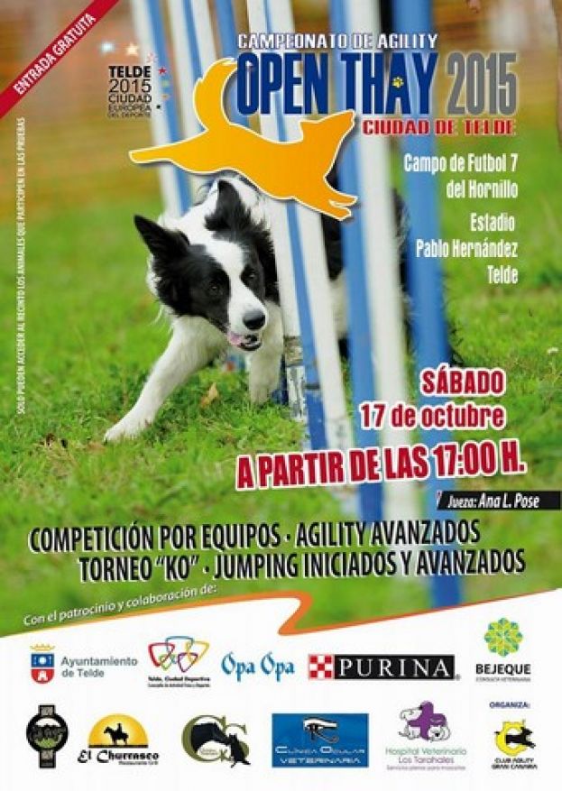 Campeonato Open Thay 2015 Ciudad de Telde