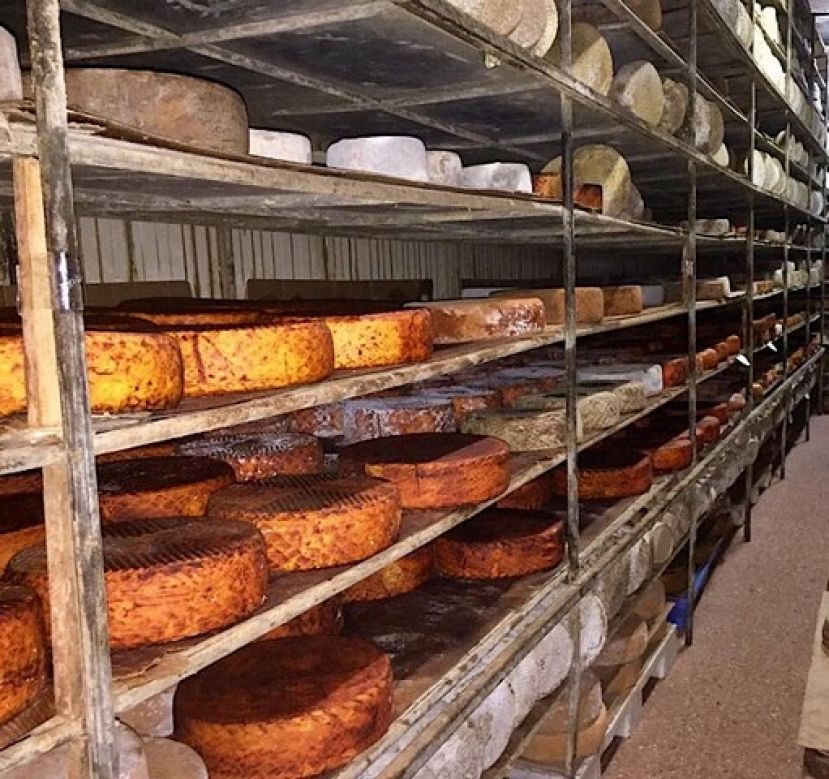 Gran Canaria alberga el mayor centro de maduraci&oacute;n quesos artesanales de Espa&ntilde;a