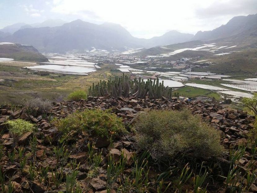 La Aldea: Puesta a punto para recibir a cientos de visitantes