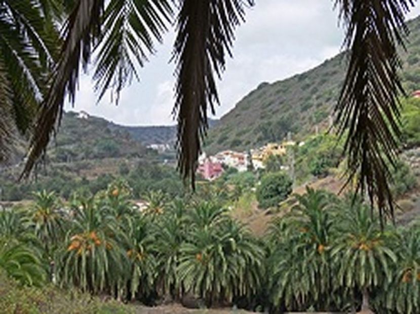 Santa Br&iacute;gida: El Plan de Empleo permite la limpieza del Barranco del Colegio