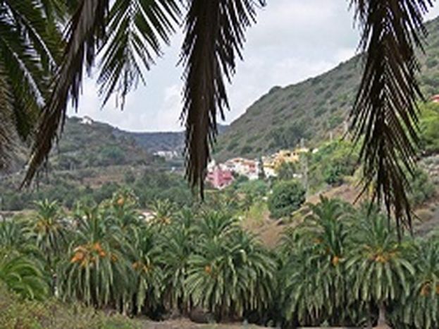 Santa Br&iacute;gida: El Plan de Empleo permite la limpieza del Barranco del Colegio
