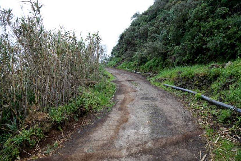 Valleseco ha impulsado el arreglo de la pista rural de Los Llanos-Madrelagua