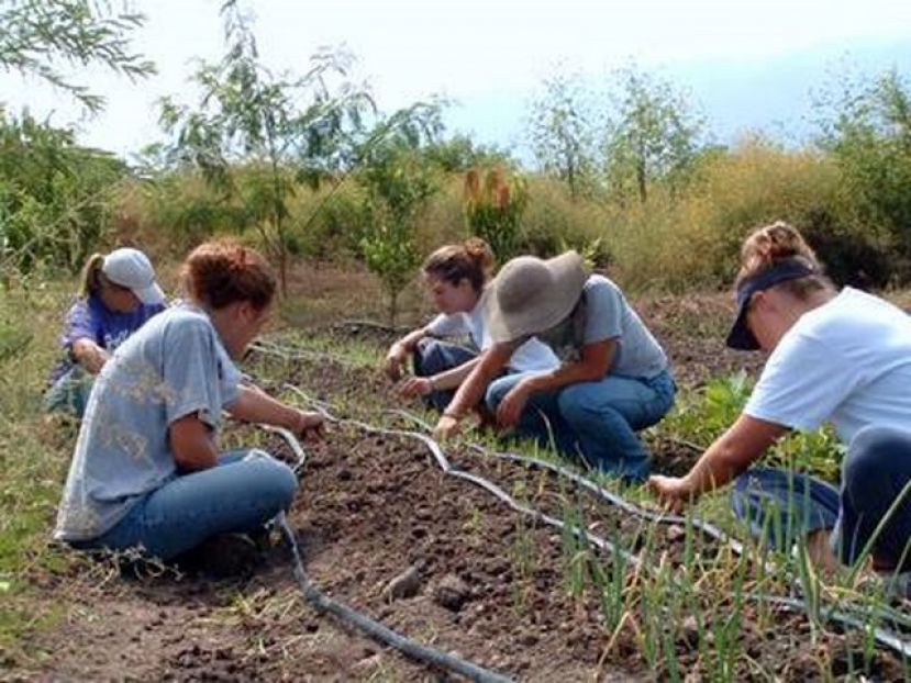 Guía: Asoflor pone en marcha un proyecto para crear un Aula de la Naturaleza