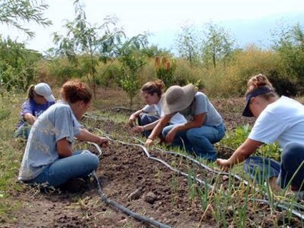 Guía: Asoflor pone en marcha un proyecto para crear un Aula de la Naturaleza
