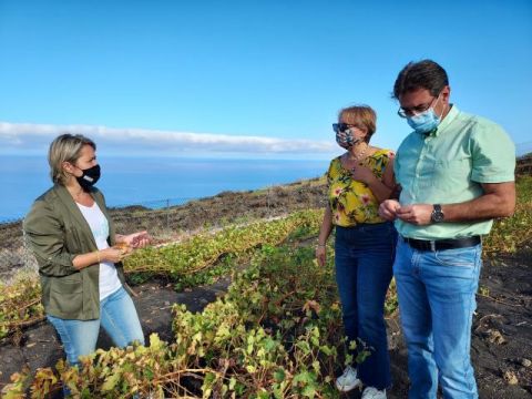 La consejera Alicia Vanoostende apela a la importancia del seguro agrario