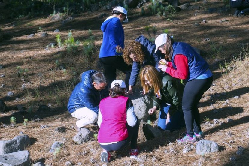 Protecci&oacute;n del entorno forestal a trav&eacute;s de actividades con escolares