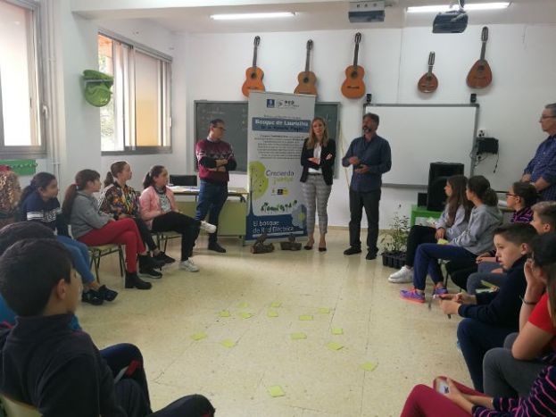 Los escolares de Firgas conocen la importancia de la reforestaci&oacute;n de la laurisilva con el Cabildo y Red El&eacute;ctrica