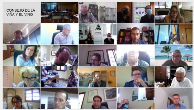 Agricultura elabora un diagn&oacute;stico sobre la estructura productiva de la viticultura