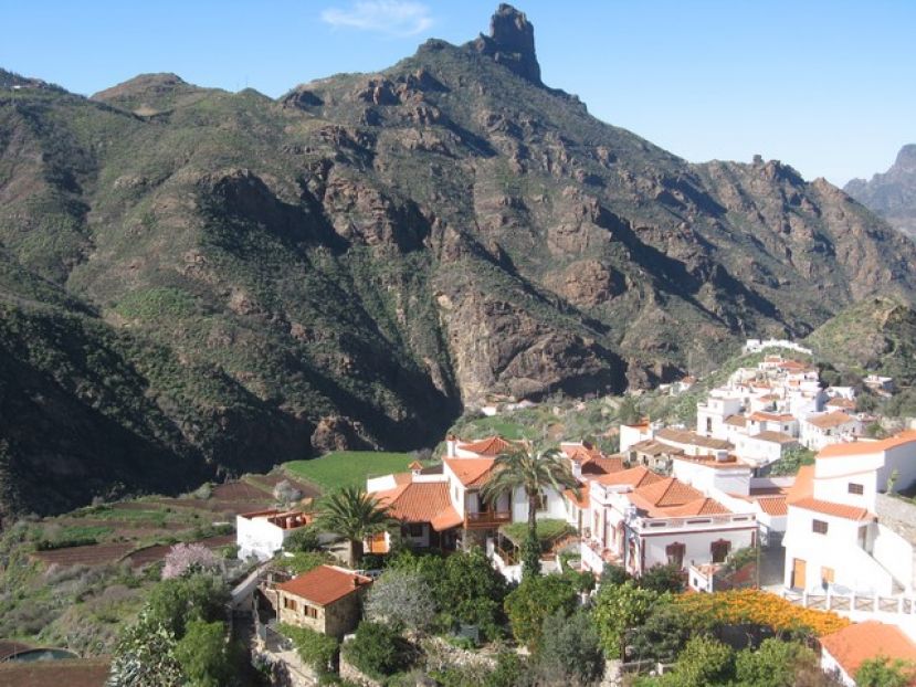 Tejeda: Exposición ‘Los usos culturales de las plantas silvestres en Gran Canaria’