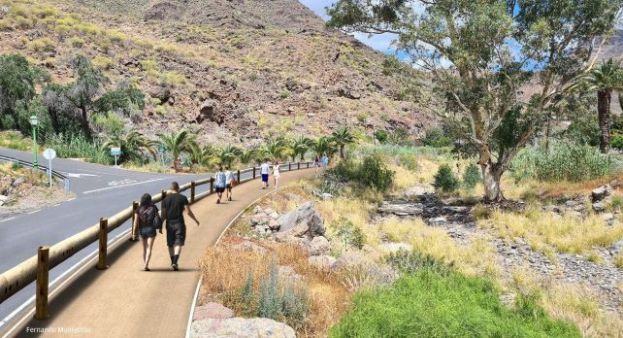 El Cabildo celebra la &lsquo;luz verde&rsquo; al proyecto de &lsquo;Salto de Chira&rsquo;
