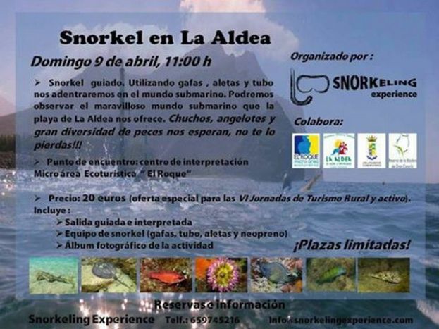 Snorkel guiado en La Playa de La Aldea