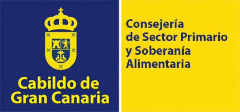 El Cabildo garantizará el consumo hídrico de las zonas agrarias de los altos de San Mateo