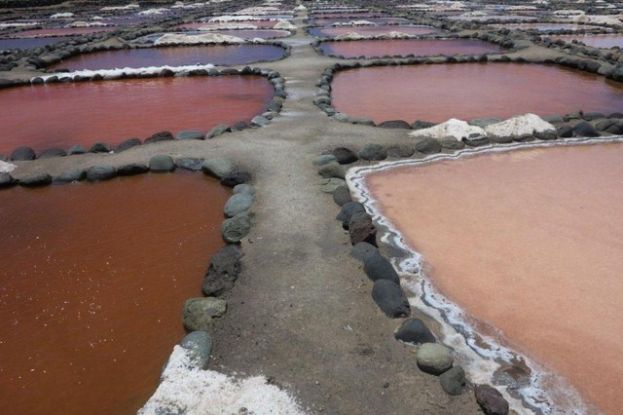 El Cabildo programa una visita guiada a las Salinas de Tenef&eacute;
