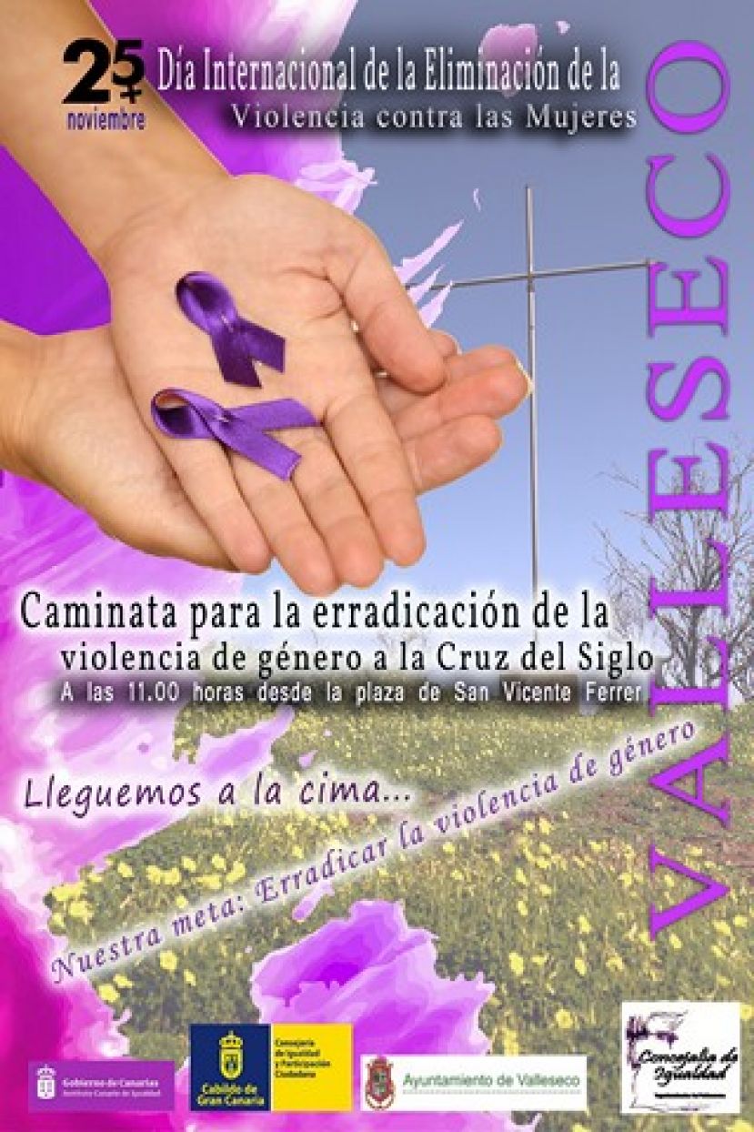 Valleseco: caminata por la erradicaci&oacute;n de la violencia de g&eacute;nero