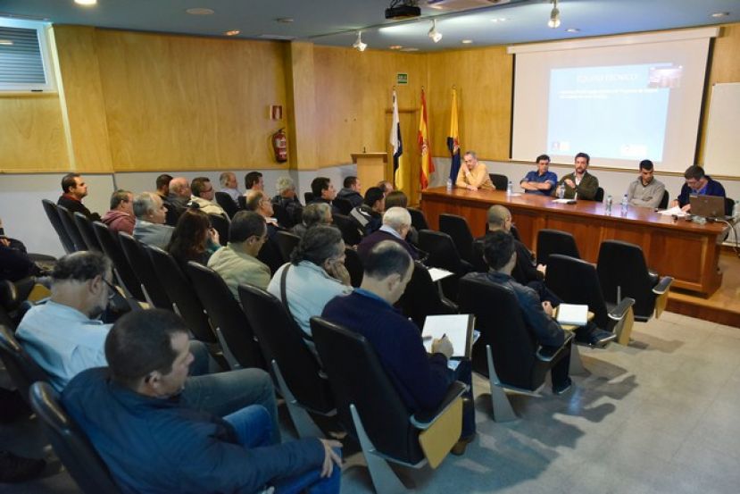 Más del 70 % de las abejas de Gran Canaria son del tipo negra canaria