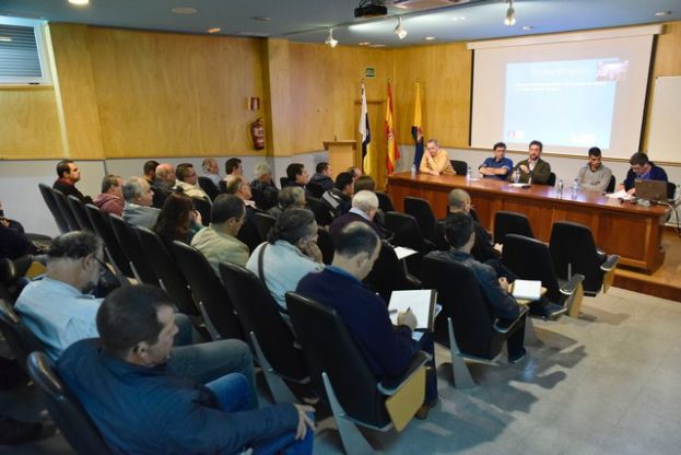 M&aacute;s del 70 % de las abejas de Gran Canaria son del tipo negra canaria