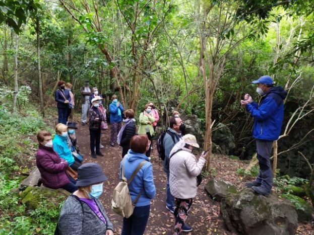 Los usuarios del Centro de Mayores Santa Mar&iacute;a de Gu&iacute;a disfrutan en Los Tilos de Moya